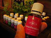 �p�[�e�B�[�C���[�W